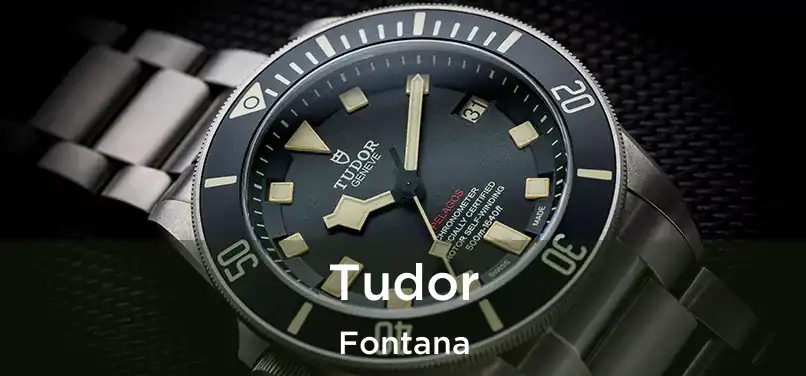 Tudor Fontana